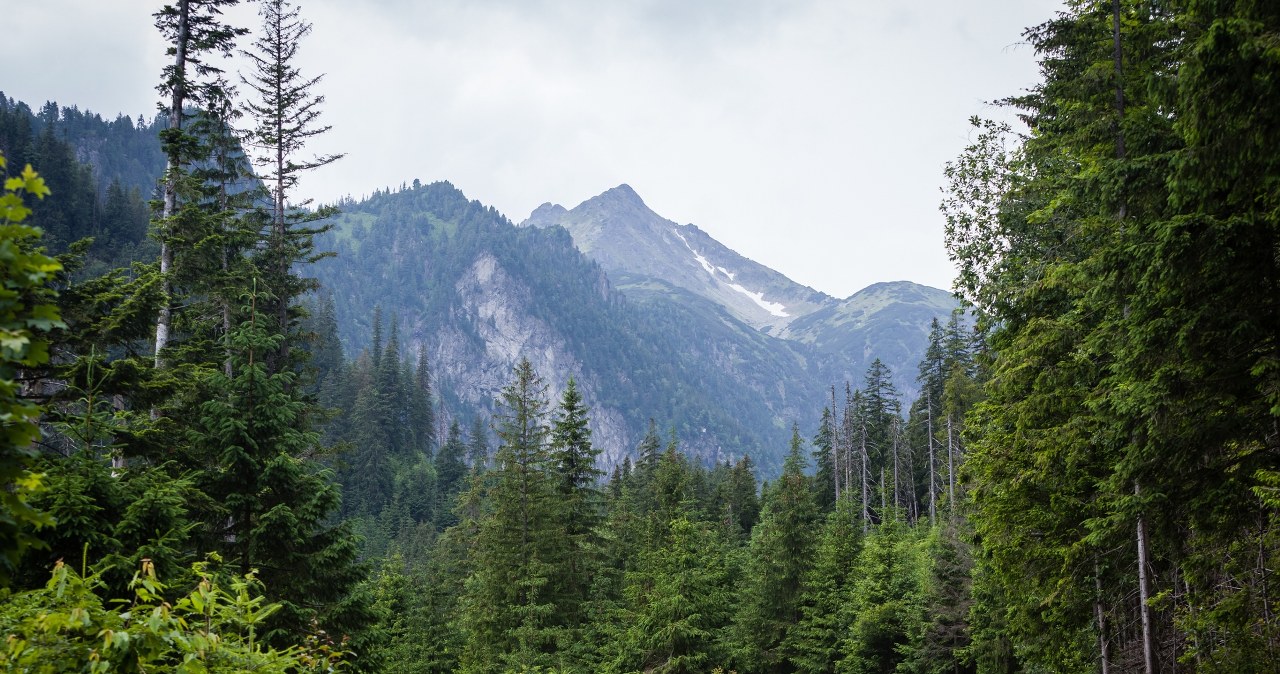Nie idź w góry z mapami Google. Tak to się może skończyć