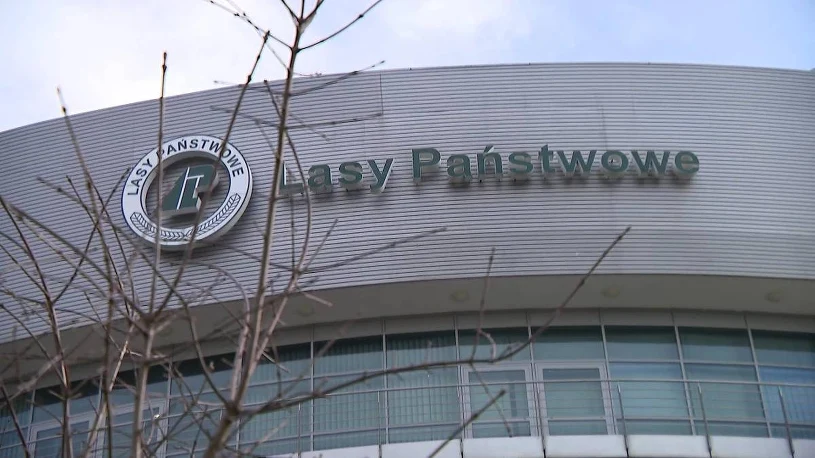 Nekdanji direktorji Poljskih državnih gozdov obtoženi zaradi fiktivne zaposlitve Dariusa Mateckega