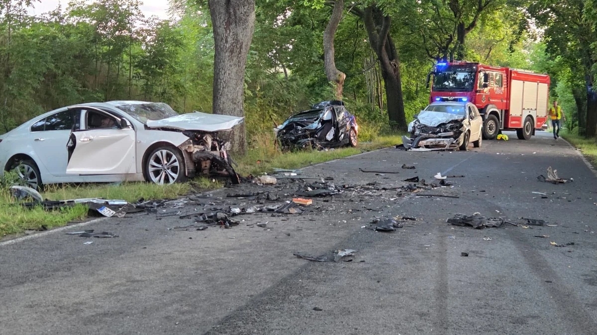 W Sobowidzu w powiecie gdańskim (woj. pomorskie) zderzyły się trzy samochody. Rannych zostało sześć osób. Na miejscu lądował śmigłowiec Lotniczego Pogotowia Ratunkowego.
