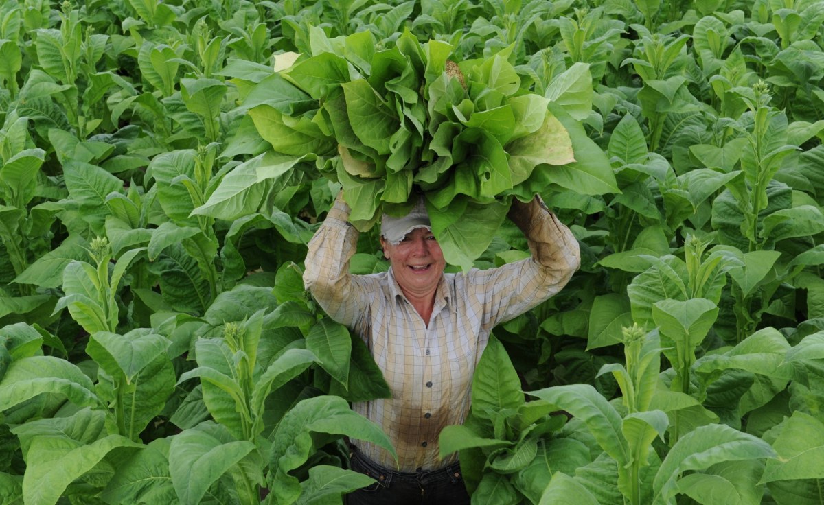 Polakom przestało się to opłacać. Wolimy zarobić w kraju