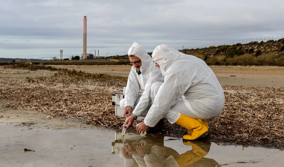 Niemieckie media donoszą o poważnej sytuacji. W powiecie Harz w kraju związkowym Saksonia-Anhalt, w pobliżu jednej z firm, znaleziono rozbite pojemniki i silnie toksyczny arsen w postaci proszku i granulatu.