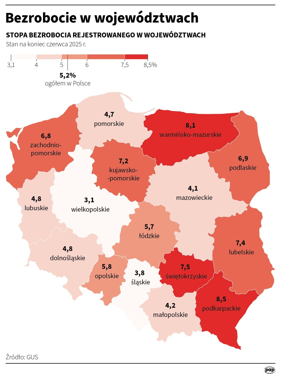 /Michał Czernek /PAP