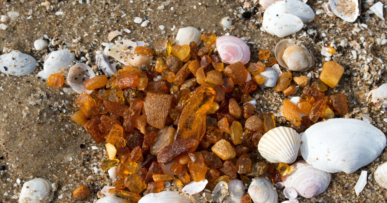 Nazywają je złotymi plażami. To tu znajdziesz najwięcej bursztynów