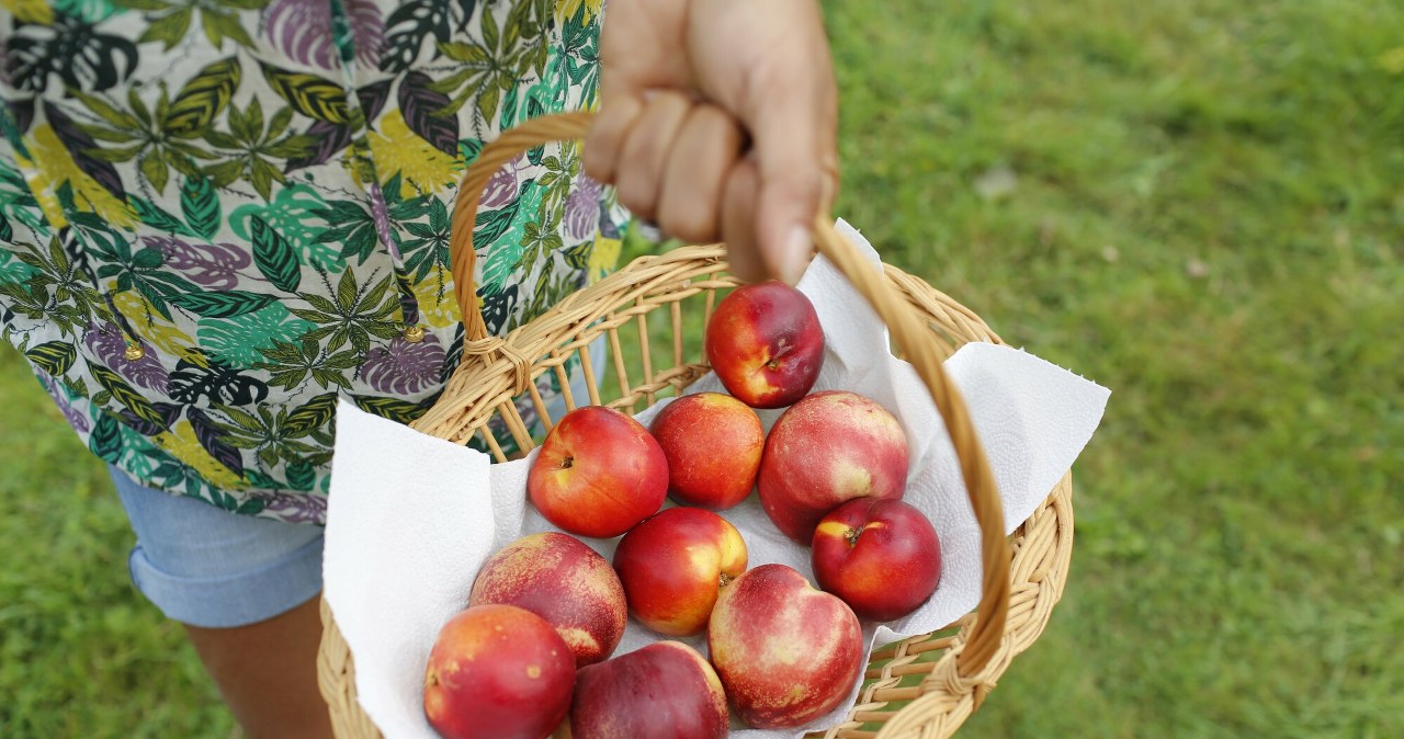 Wspomagają pamięć i koncentrację. Jedz 1-2 dziennie, a poczujesz różnicę