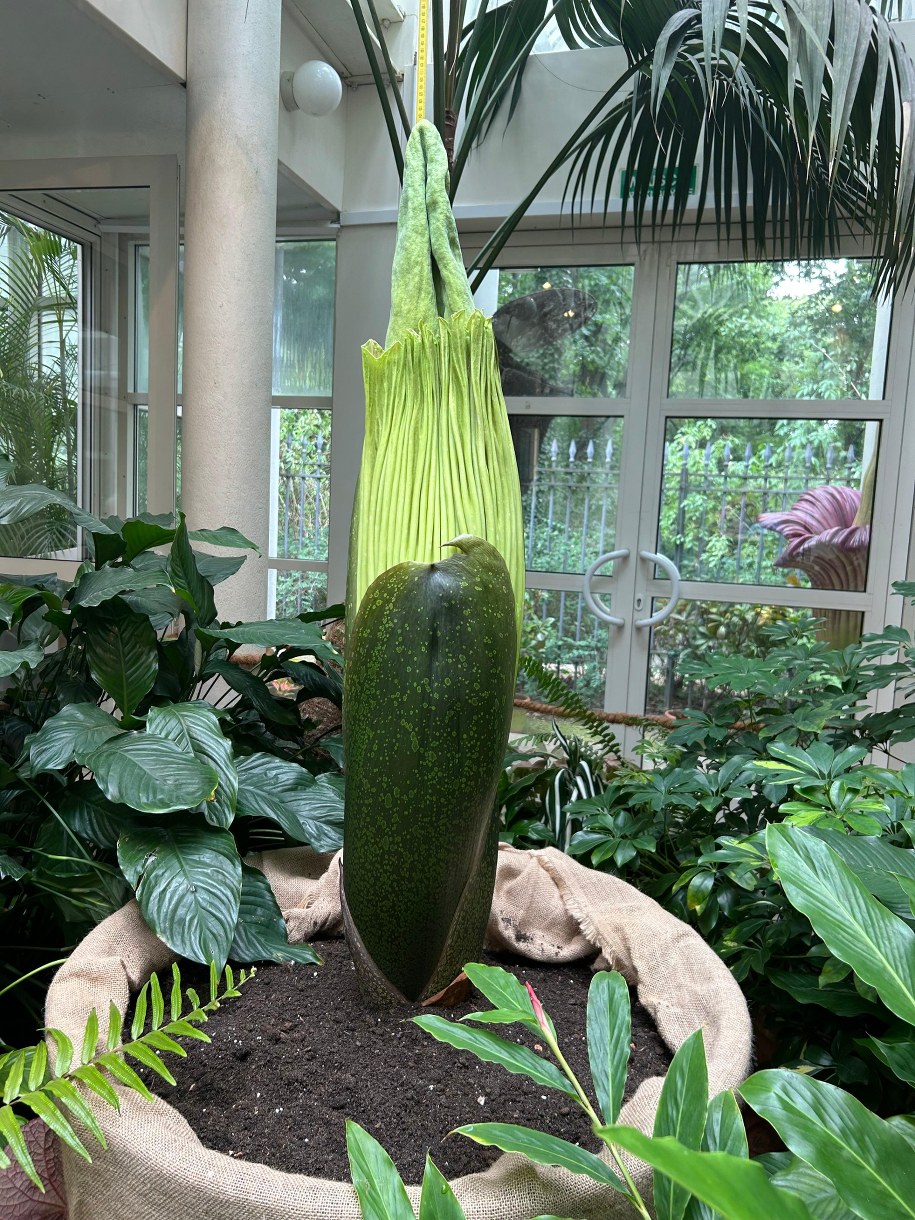 /Magdalena Grajnert /RMF FM