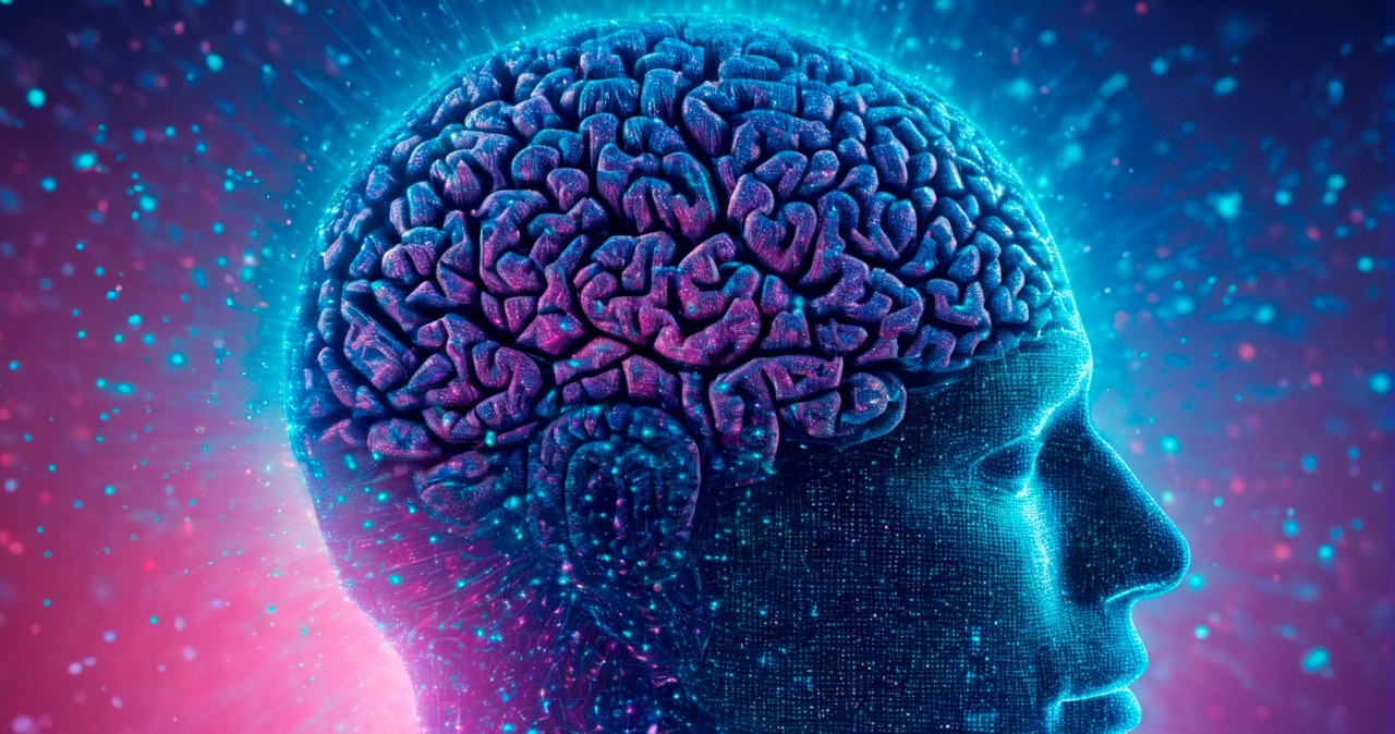 Naukowcy odkryli przełącznik w mózgu. Włącza i wyłącza wspomnienia