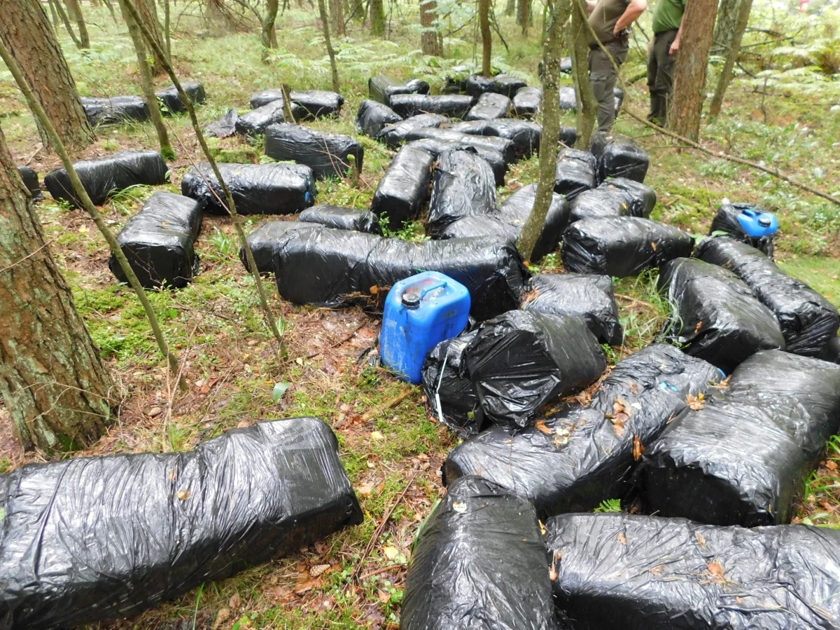 Około 60 plastikowych kanistrów szczelnie owiniętych czarną folią, każdy o pojemności 20 litrów, odnaleziono w jednym z lasów na Mazowszu. W czwartek poinformowała o tym Regionalna Dyrekcja Lasów Państwowych w Olsztynie. "Co zawierają? Na razie nie wiadomo. Wiadomo jedno: to potencjalnie niebezpieczna substancja, która mogła skazić glebę, wodę, zabić rośliny i zwierzęta" - podano.