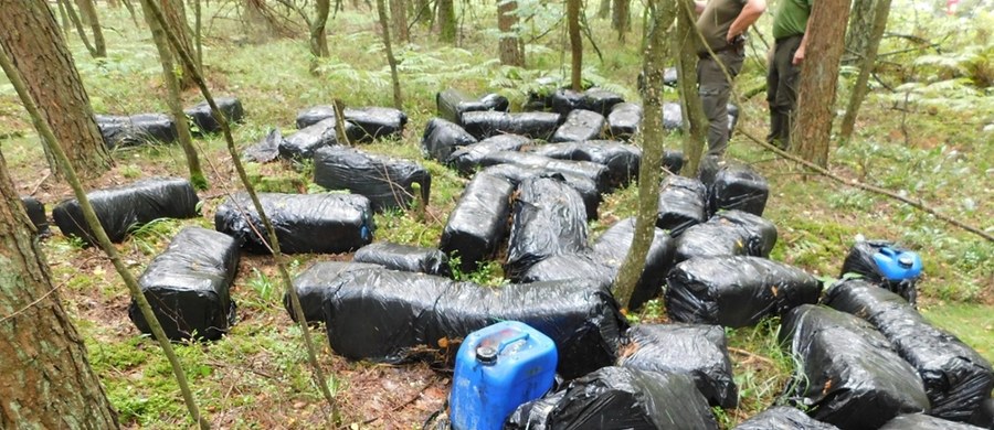 Około 60 plastikowych kanistrów szczelnie owiniętych czarną folią, każdy o pojemności 20 litrów, odnaleziono w jednym z lasów na Mazowszu. W czwartek poinformowała o tym Regionalna Dyrekcja Lasów Państwowych w Olsztynie. "Co zawierają? Na razie nie wiadomo. Wiadomo jedno: to potencjalnie niebezpieczna substancja, która mogła skazić glebę, wodę, zabić rośliny i zwierzęta" - podano.