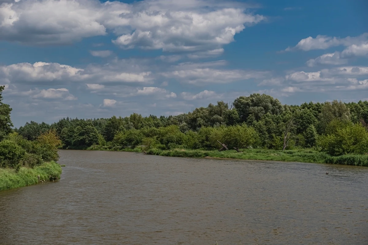 Policja ustala tożsamość mężczyzny, którego w czwartek strażacy wydobyli z rzeki Bug w woj. lubelskim. Straż graniczna nie wyklucza, że to ciało jednego z migrantów, którzy próbowali dostać się z Białorusi do Polski.