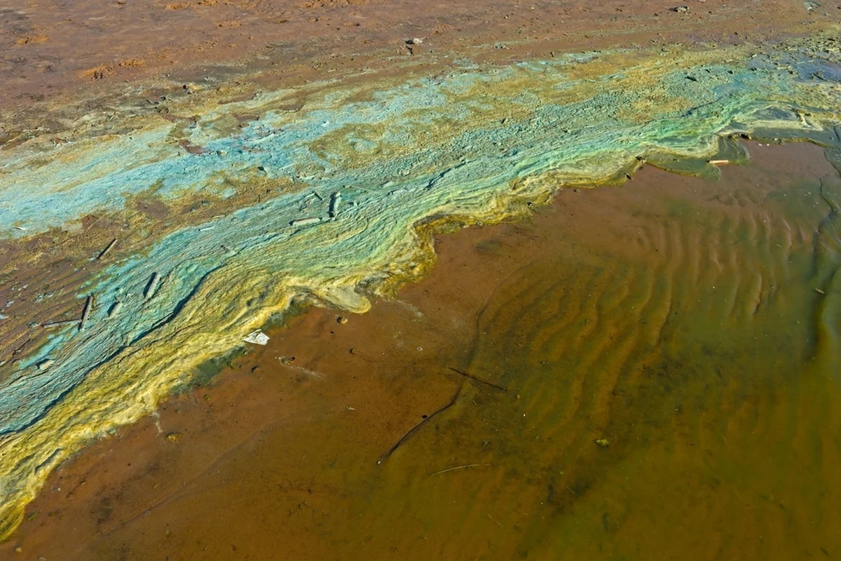 Jak podaje Serwis Kąpieliskowy, kąpać nie można się w trzech lokalizacjach nad polskim morzem - chodzi o dwa kąpieliska w woj. pomorskim i jedno w Zachodniopomorskiem.