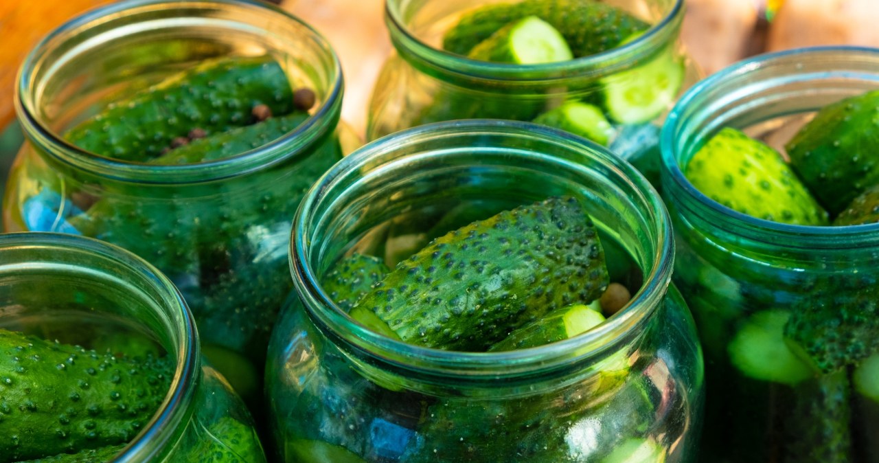 Nietypowy dodatek do ogórków. Kiszonki będą bardziej aromatyczne i lekko pikantne