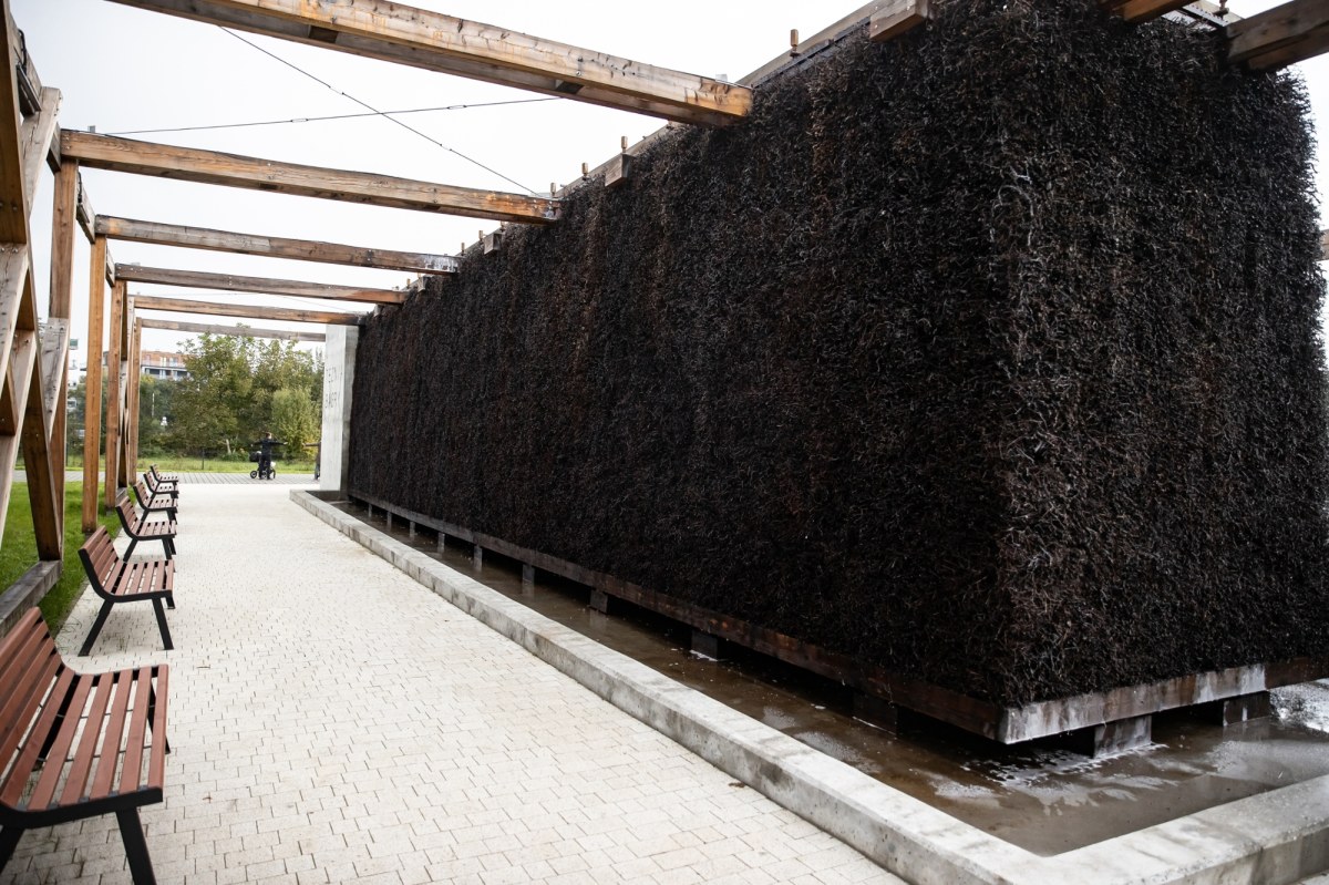 Tężnie miejskie pod lupą naukowców. Inhalacja, która może zaszkodzić zdrowiu