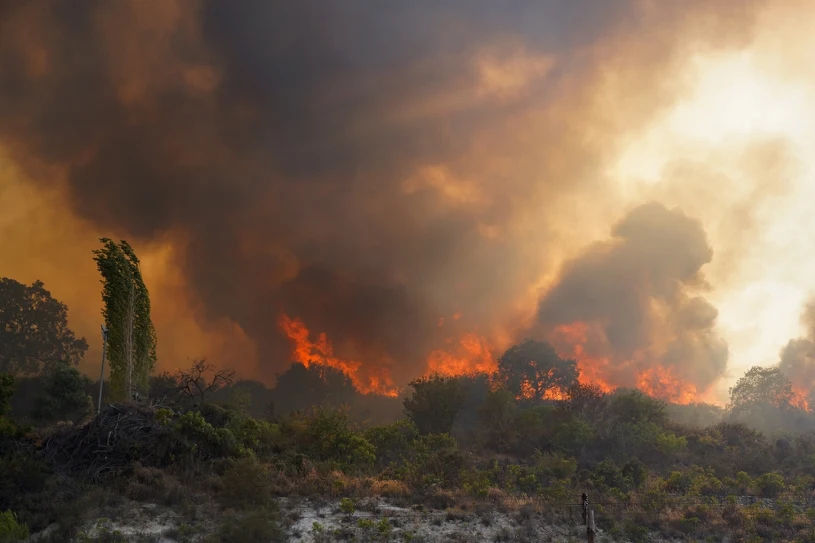 Ciper zajeli rekordni gozdni požari, umrli dve osebi