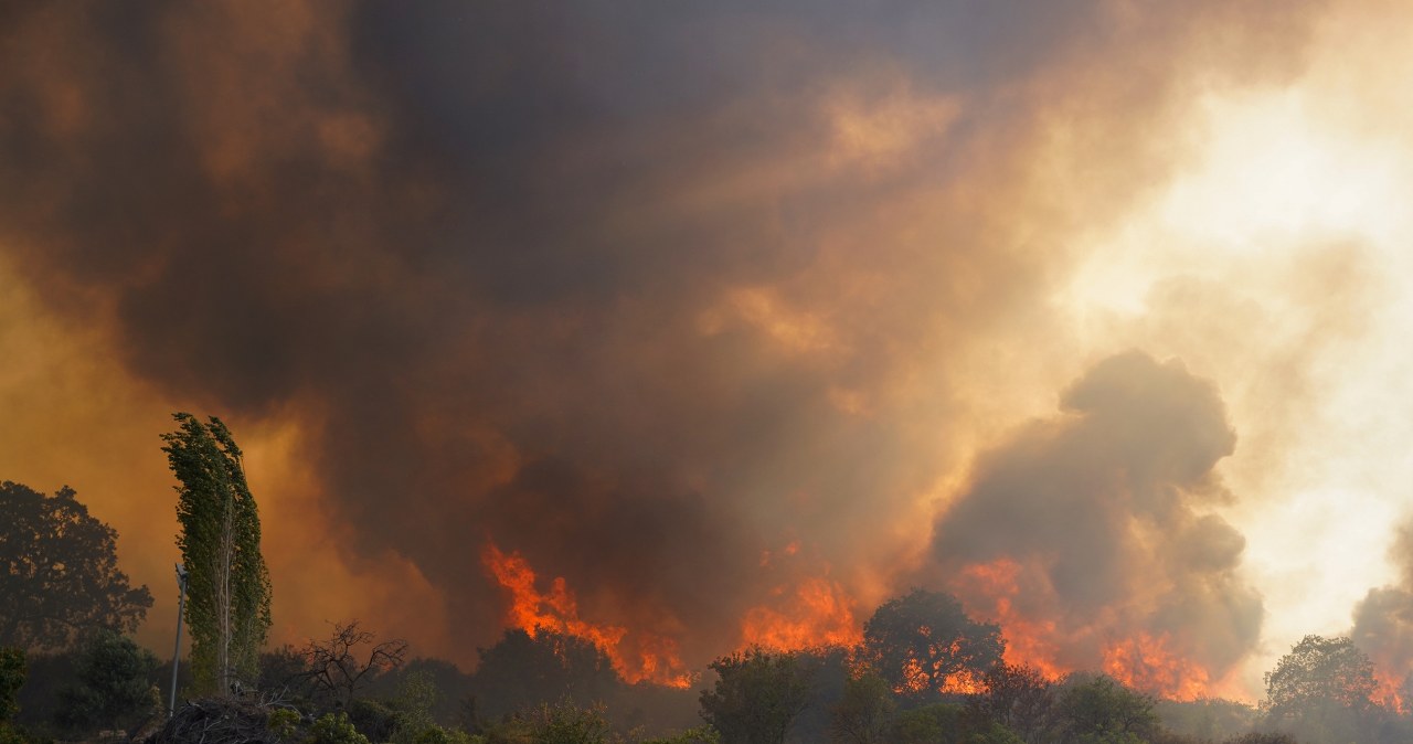 "Sytuacja bez precedensu". Dramatyczna walka z ogniem na Cyprze