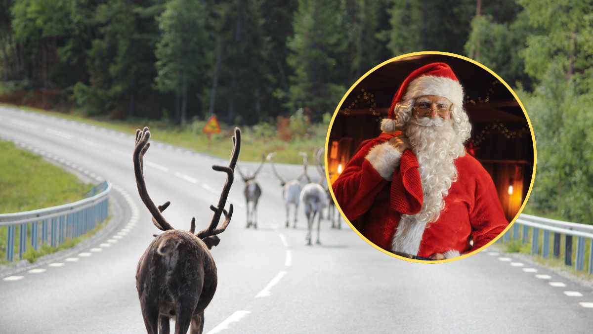 Upał na biegunie północnym. Święty Mikołaj i renifery walczą z ekstremalną pogodą