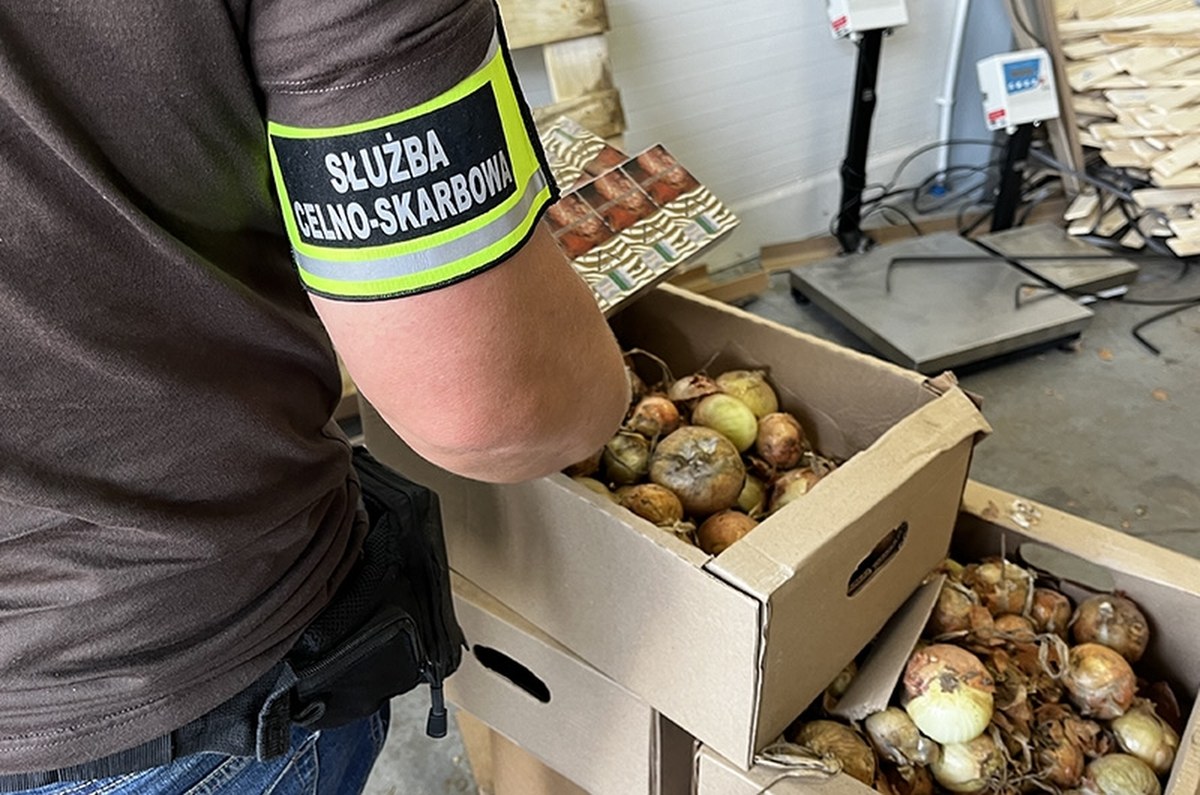 Papierosy ukryte w cebuli i burakach. Gigantyczny przemyt na polskiej granicy