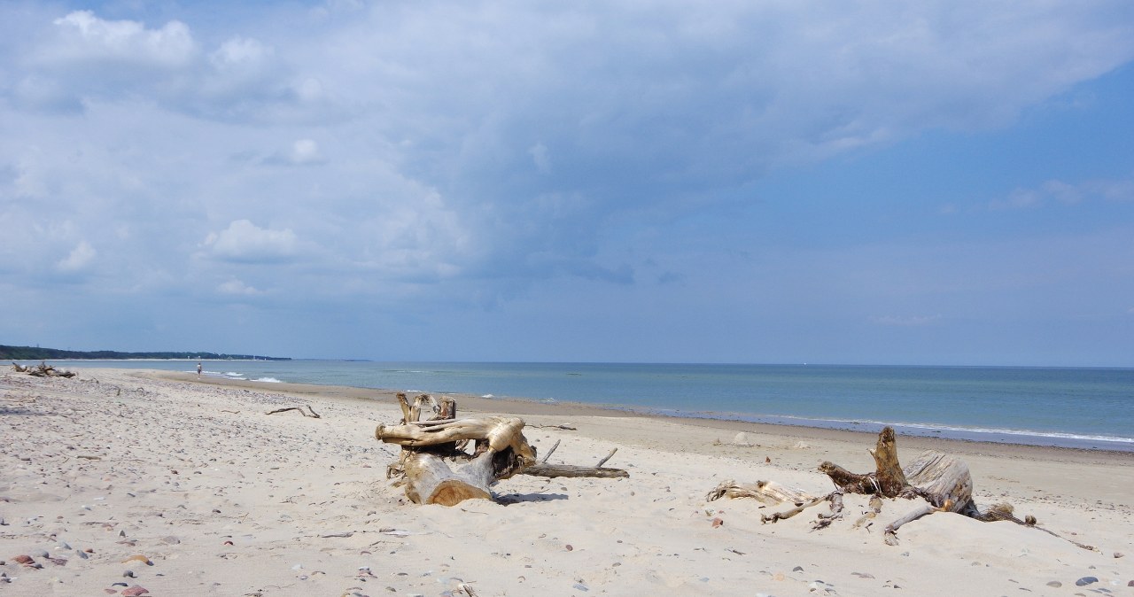 Dzika plaża nad Bałtykiem, z piaskiem jak na Karaibach. Tu wypoczniesz bez tłumów
