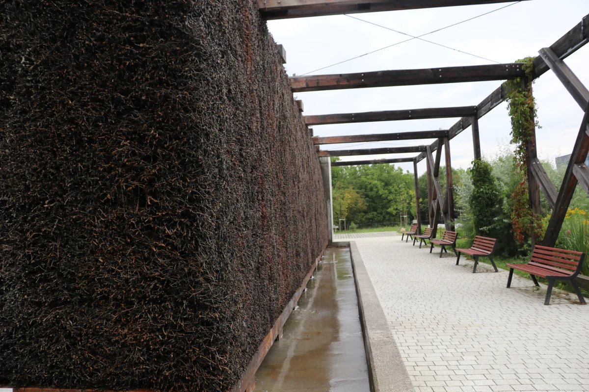 Zamiast wspomagać zdrowie - mogą stanowić dla niego zagrożenie. Solanka w rosnących jak grzyby po deszczu tężniach zlokalizowanych w centrach miast pełna jest bakterii chorobotwórczych. Wykazały to badania przeprowadzone przez naukowców Uniwersytetu Rolniczego w Krakowie.