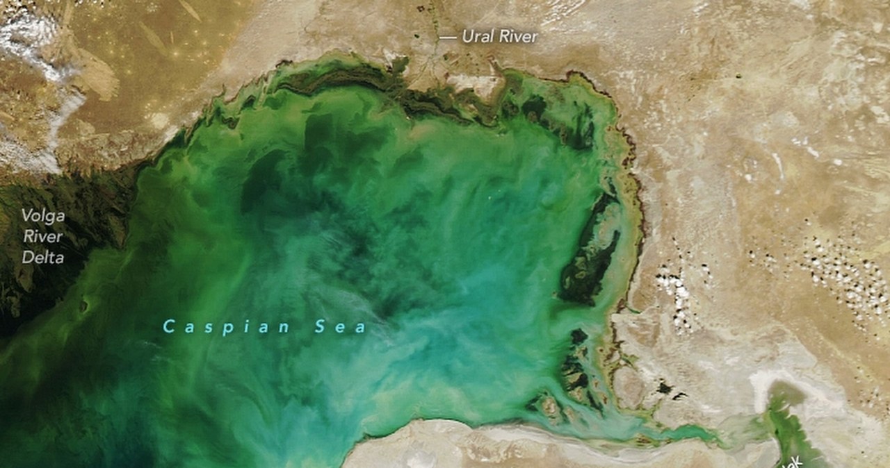 wiadomości,aktualności,Interia Oceany są mniej zielone. Znika fundamentalny składnik mórz