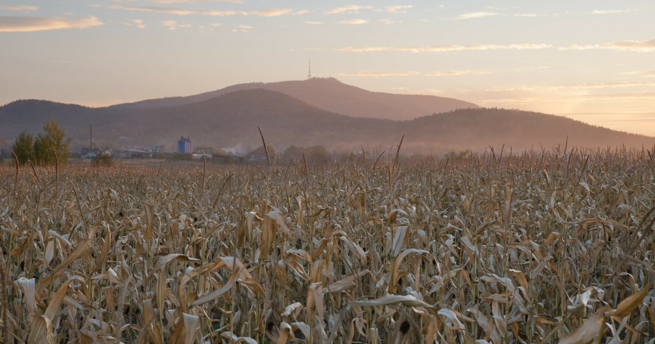 Skarby ukryte na Ślęży. Od kosztowności po Świętego Graala?