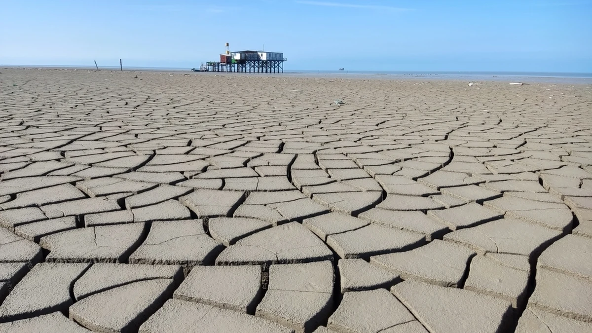 Poziom wody w Morzu Kaspijskim jest najniższy w historii obserwacji - poinformował w czwartek portal Times of Central Asia. Jak przekazał, tafla wody znajduje się na wysokości 29 metrów poniżej poziomu morza.