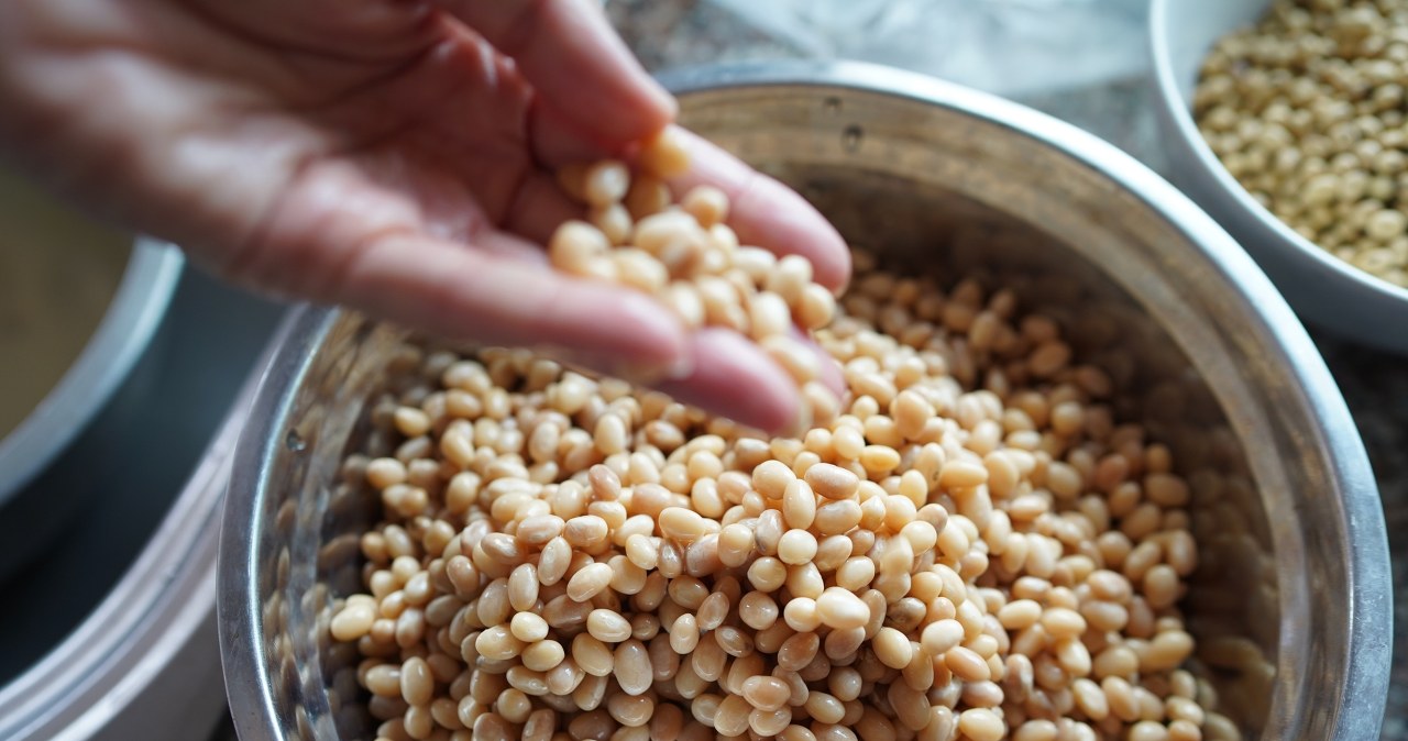 Naprawia DNA i chroni przed nowotworami? Sprawdź, co potrafi lunazyna - peptyd z soi