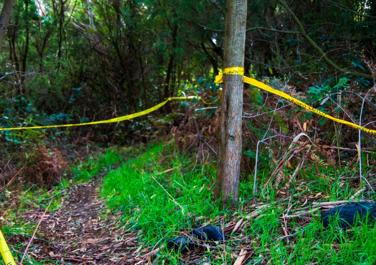 Po odnalezieniu ciała zaginionego Daniela Colemana w lesie Paramoor Woods w Kornwalii (Wielka Brytania) media obiegła informacja, że zwłok jest dużo więcej. Komisarz Alison Hernandez z tamtejszej policji powiedziała dziennikarzom, że śledczy natrafili w tym samym miejscu na "wiele ciał". Policja z Devon i Kornwalii jednak zdementowała sensacyjną wiadomość podaną przez własnego pracownika, podkreślając, że w lesie odnaleziono zwłoki tylko jednego mężczyzny. 