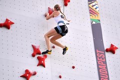 Wspinaczka: Zawody Pucharu Świata w Chamonix - speed kobiet i mężczyzn - finały