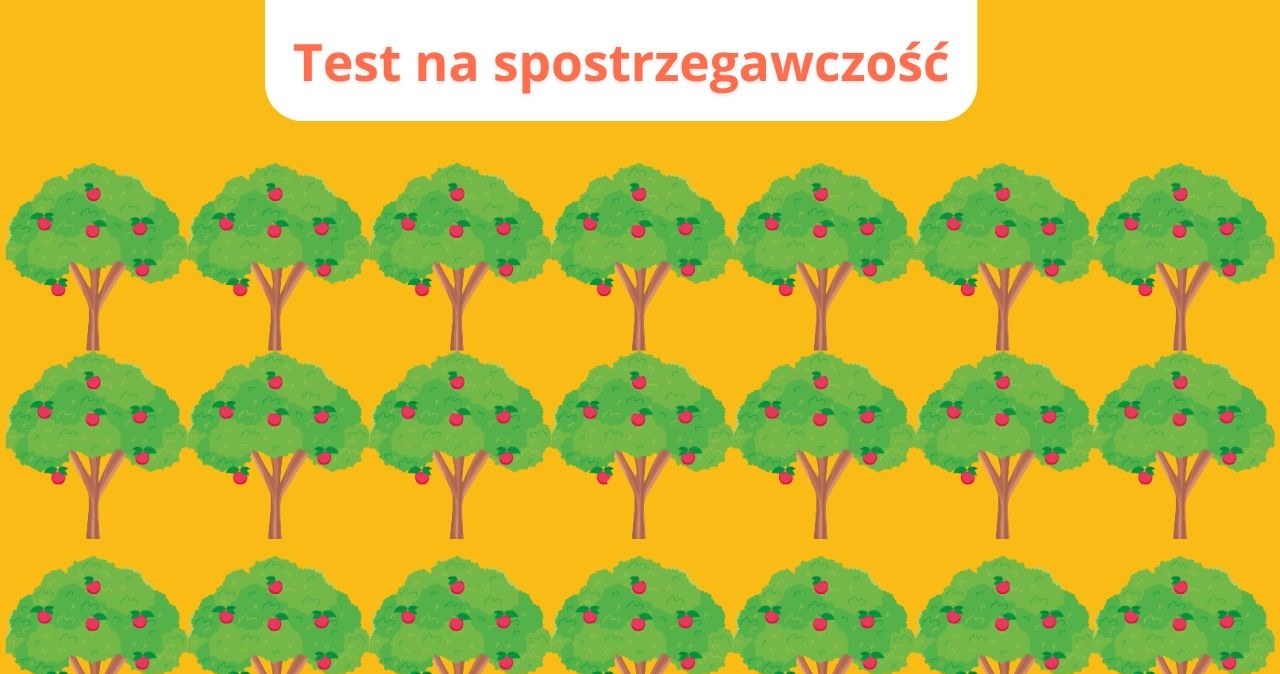 Zagadka dla dociekliwych: Które drzewo nie jest takie jak reszta?
