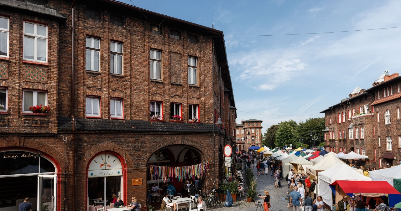 Nie tylko kopalnie. Wodna ścieżka i arboretum to dopiero początek