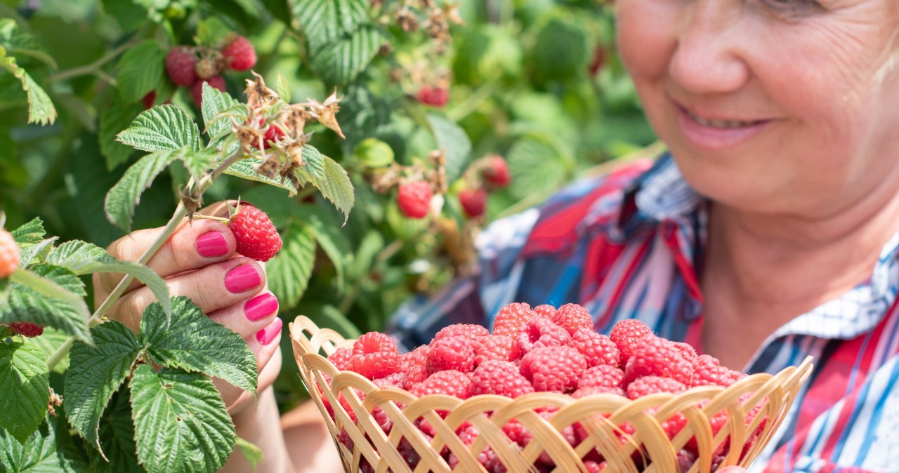 Te owoce działają jak naturalny botoks. Wystarczy garść dziennie