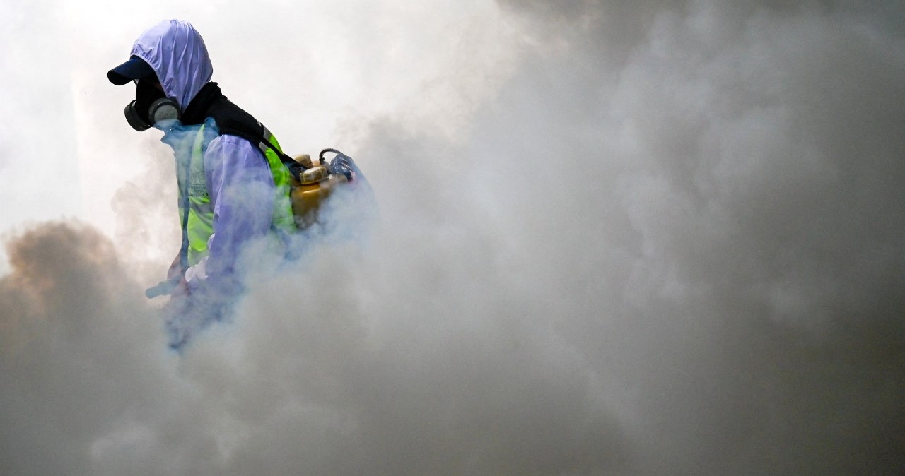 Tropikalny wirus rozlewa się po świecie. Polskie MSZ bije na alarm