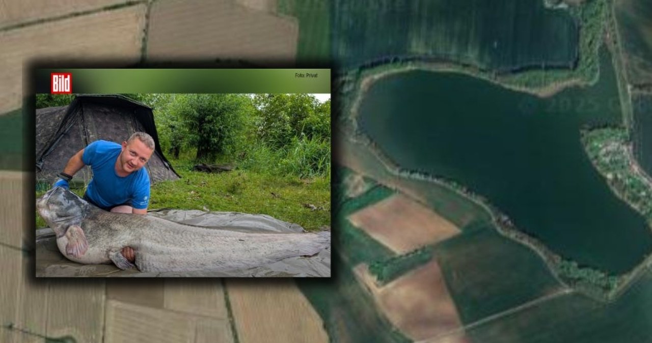 wiadomości,aktualności,Interia Złowił potężnego suma. Ledwo udało się go wyciągnąć z wody po 45-minutowej walce