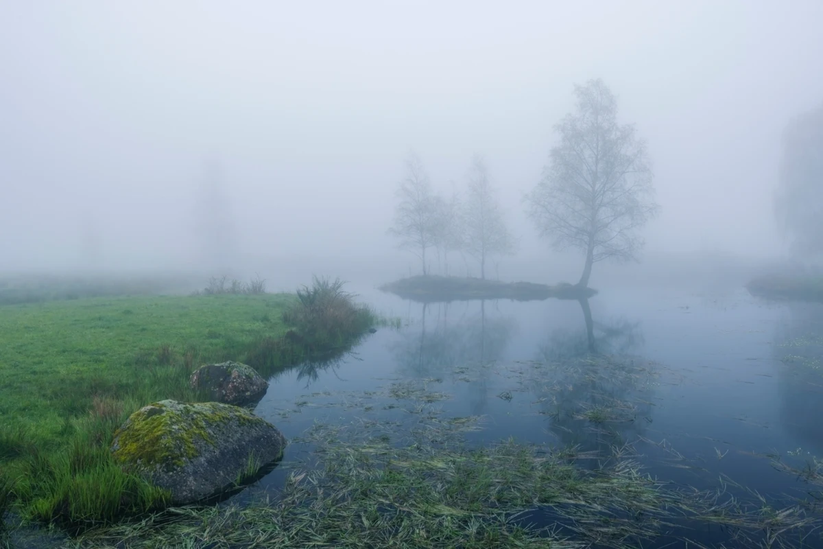 W Łowęcicach koło Wrocławia strażacy wyłowili ze stawu zwłoki. Jak dowiedziała się dziennikarka RMF FM Martyna Czerwińska, ciało zauważył przypadkowy przechodzień, który powiadomił służby. 