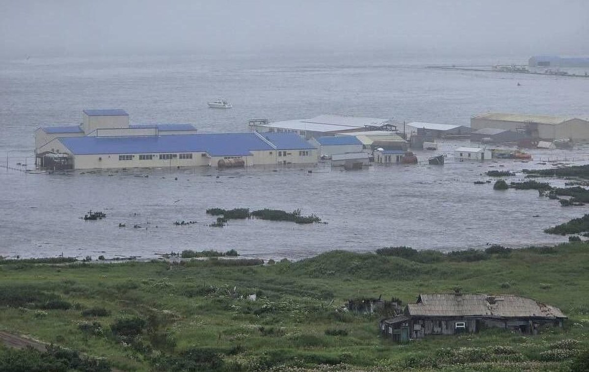 Tsunami po trzęsieniu ziemi na Pacyfiku. Zobacz nagrania