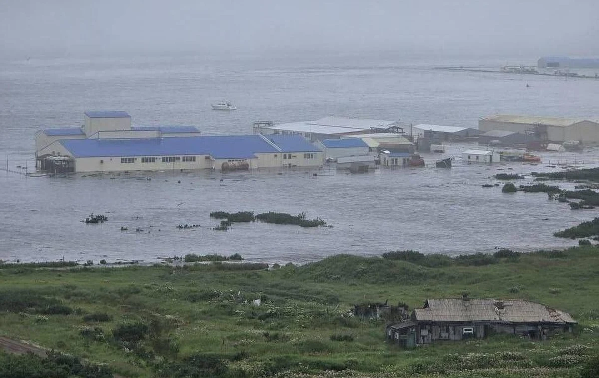 Minionej nocy na Pacyfiku, u wybrzeży rosyjskiej Kamczatki, wystąpiło potężne trzęsienie ziemi o magnitudzie 8,8. To jeden z najsilniejszych wstrząsów w nowożytnej historii. W jego wyniku powstało kilkumetrowe tsunami, które uderzyło m.in. w rosyjską wyspę. Na nagraniach widać siłę żywiołu.