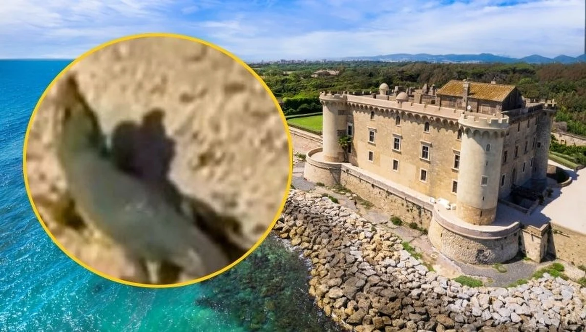 Zadziwiający rezultat akcji poszukiwawczej służb we włoskim Ladispoli. W związku ze strachem mieszkańców karabinierzy, strażnicy miejscy i wolontariusze obrony cywilnej poszukiwali groźnego krokodyla, który miał się pojawić w miejscowej rzece. Zamiast niego znaleźli... dużą zabawkę. To zdarzenie w niektórych aspektach przypomina historię krakowskiego laguna. 