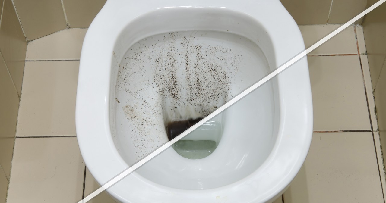 Zostaw w toalecie przed urlopem. Po powrocie będzie świeżo i czysto