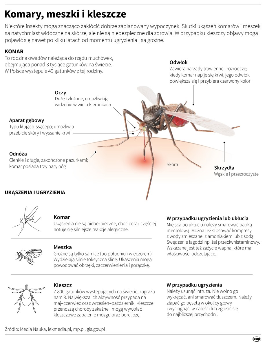 /Mateusz Krymski /PAP