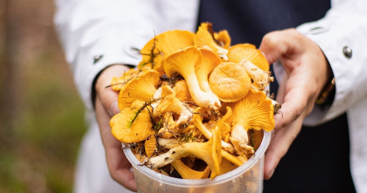 Sprytny sposób na czyszczenie kurek. Piasek i mech same się odczepiają