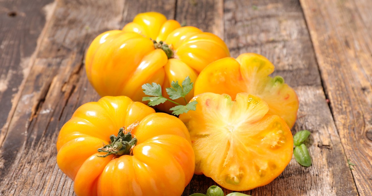 To najsłodsza odmiana pomidorów. Są jędrne i soczyste, ale mało kto je zna