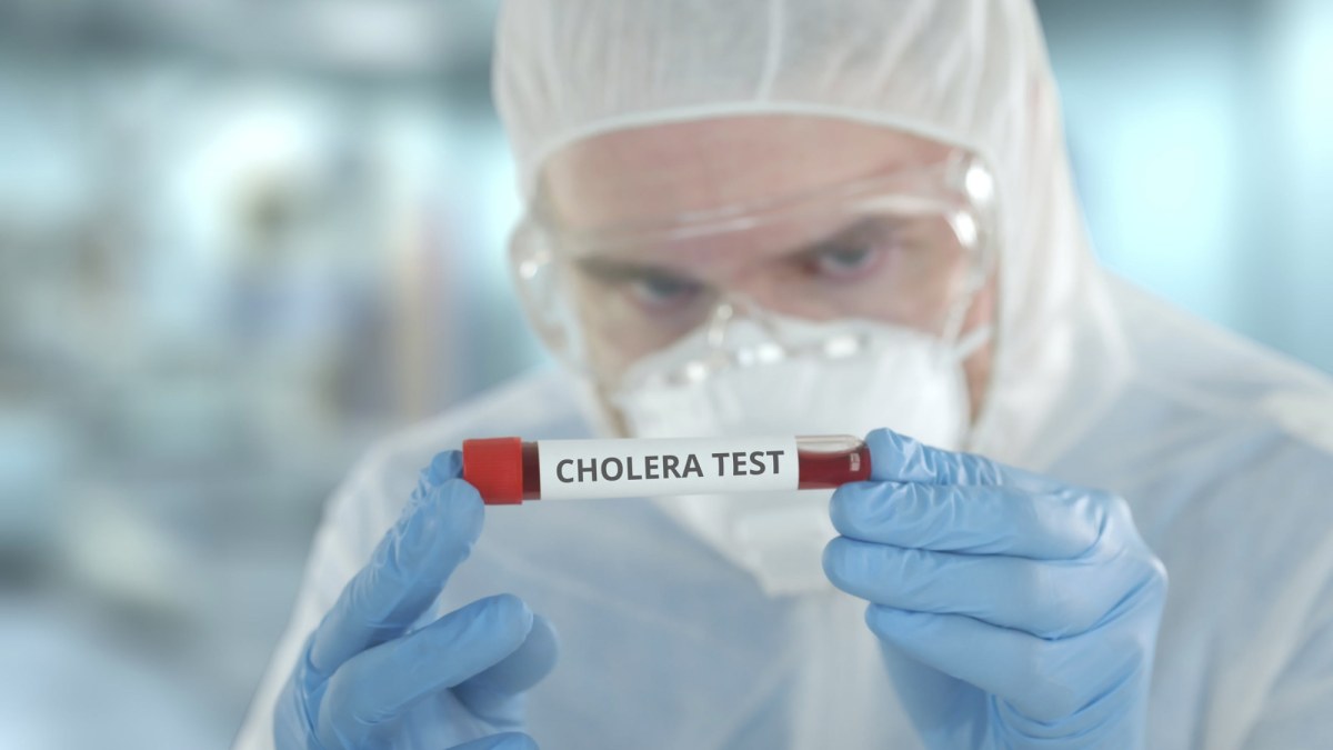 Podejrzenie cholery w Szczecinie. Są ostateczne wyniki badań