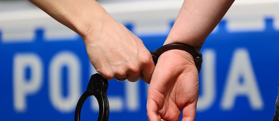 Łowcy pedofilów, we współpracy z policjantami z wielkopolskiego Trzemeszna, zatrzymali w czwartek 45-letniego mężczyznę. Jest on podejrzewany o korespondowanie z osobą podającą się za małoletnią dziewczynkę.