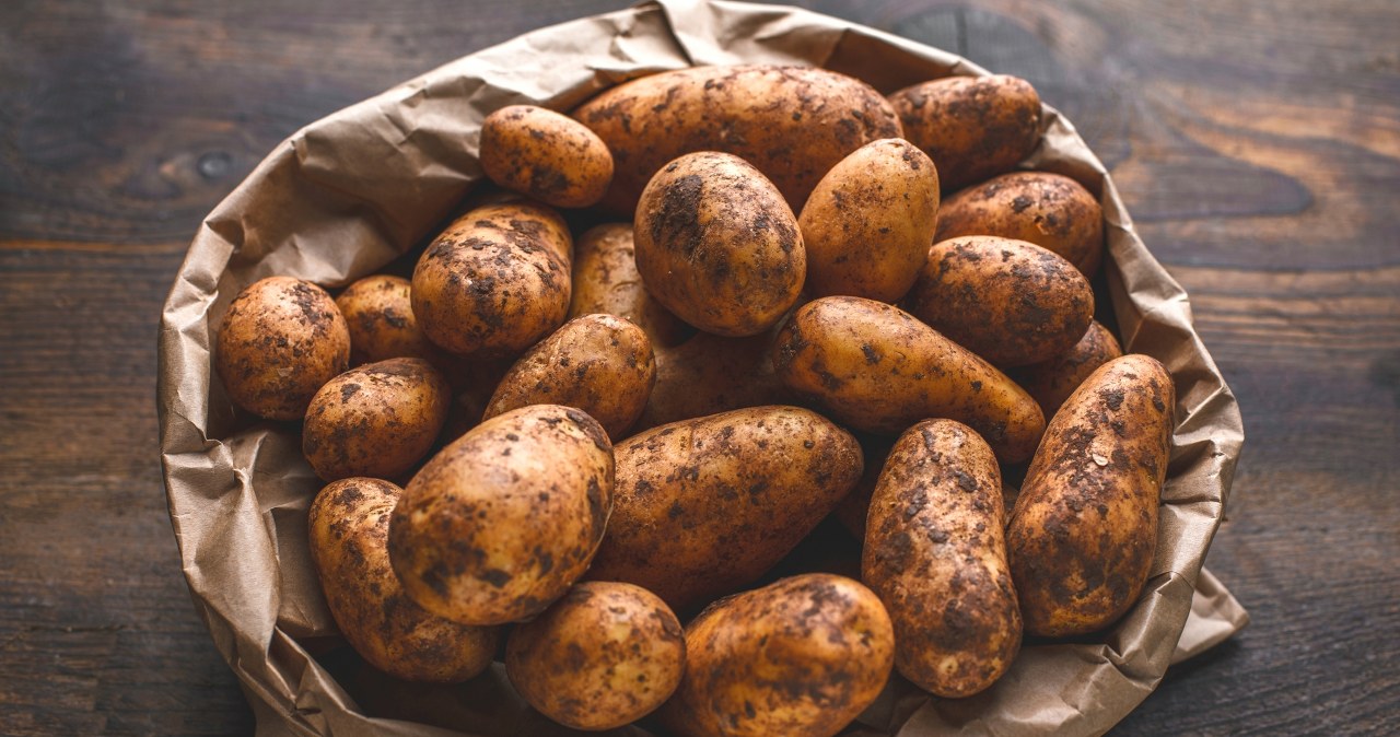 W ziemniakach kryje się źródło protein. To białko ma intrygującą cechę