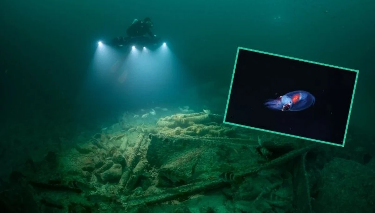 Międzynarodowy zespół naukowców dokonał przełomowego odkrycia w najgłębszych rowach oceanicznych Pacyfiku. W ekstremalnych warunkach, gdzie panuje ciemność i ogromne ciśnienie, badacze zaobserwowali rozległe społeczności nieznanych dotąd organizmów – od kolonii rurkowców po pola usłane małżami i bakteriami. Odkrycie rzuca nowe światło na możliwości życia w najbardziej niedostępnych miejscach na Ziemi.