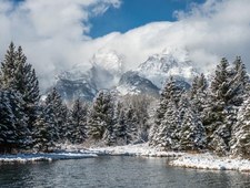 Dziki park Yellowstone