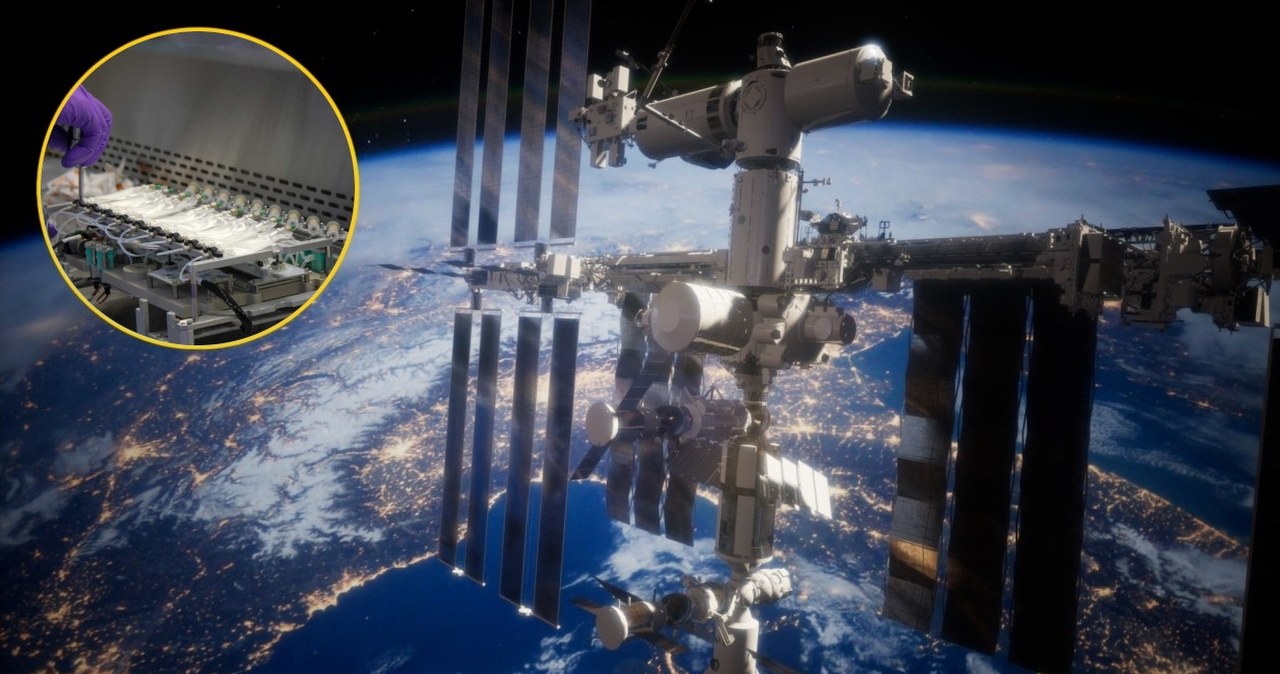 ISS ma nowych "gości". Na Ziemi stanowią zagrożenie dla ludzi