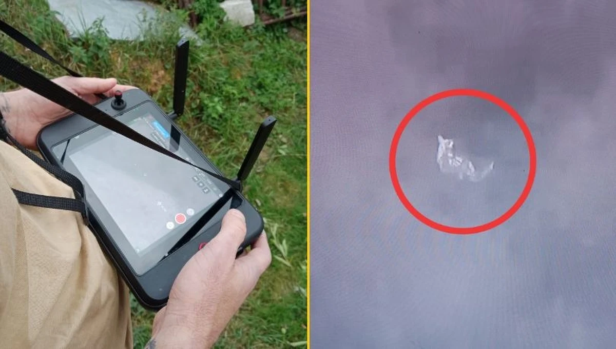 ​Happy endem zakończyły się poszukiwania kangura, który opuścił zagrodę w Rozprzy w województwie łódzkim. Zwierzak został odnaleziony przez strażaków z OSP Rozprza i trafił już do swojego właściciela. "Z kolegą z grupy postanowiliśmy, że można by jeszcze raz spróbować polatać dronem. Lataliśmy dwie godziny. Jak doleciałem, 10 metrów od nas stał kangur" - przekazał RMF FM Arkadiusz Jeż, strażak, który namierzył kangura. 