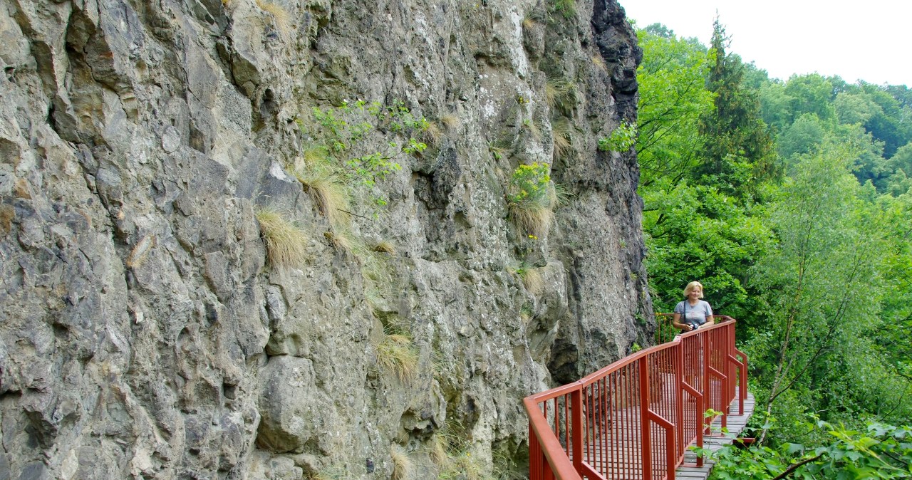 Mówią, iż to najpiękniejsza ścieżka spacerowa w Polsce. W sam raz na weekendowy wypad
