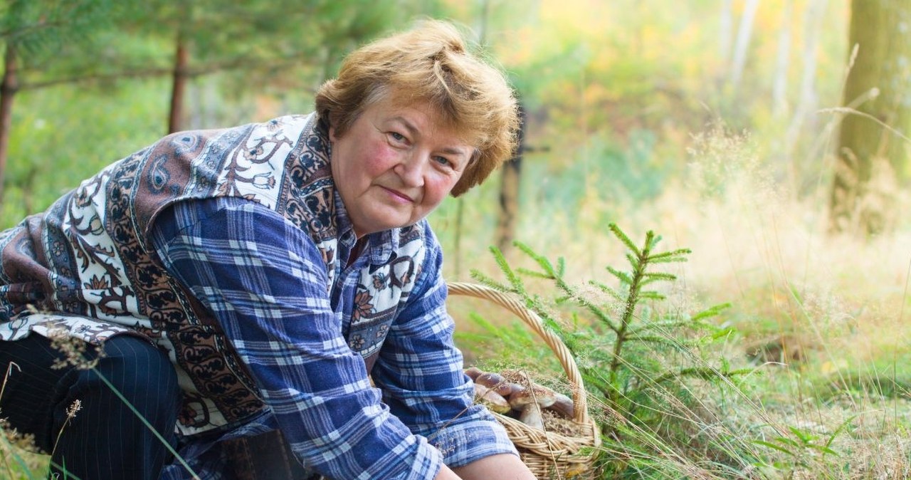 Pełne kosze grzybów, ale przez cały czas są niezadowoleni. O co chodzi grzybiarzom?